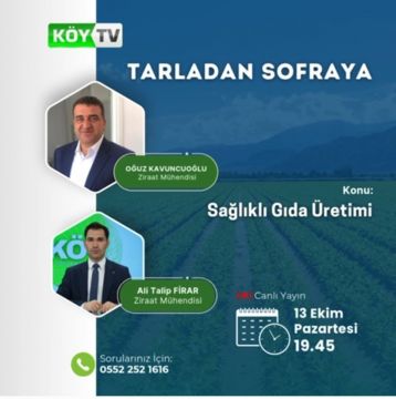 SAĞLIKLI GIDA ÜRETİMİ 